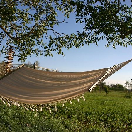 I Fichi Bianchi Bed & Breakfast Cutrofiano Eksteriør bilde
